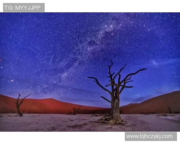 足球明星璀璨星空图谱解析:从球场英豪到世界偶像的闪耀旅程